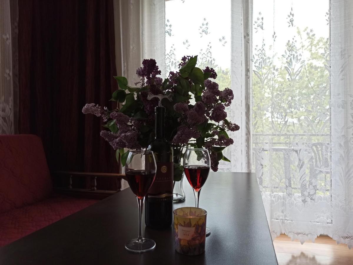Apartament-Studio, Pokoje U Lucy Rabka Ngoại thất bức ảnh
