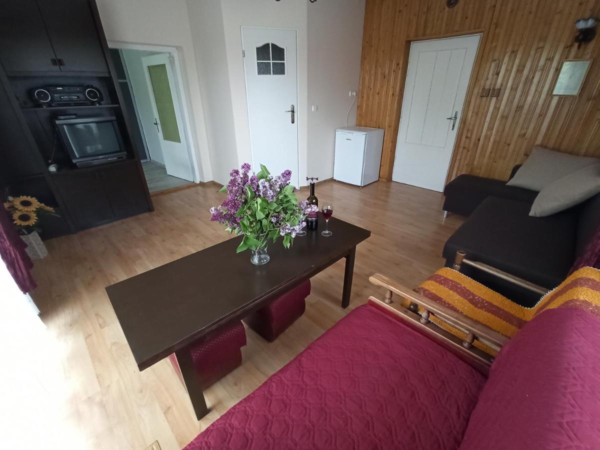 Apartament-Studio, Pokoje U Lucy Rabka Ngoại thất bức ảnh